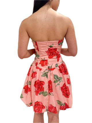 Close up back view of roses mini dress with back zip closure.