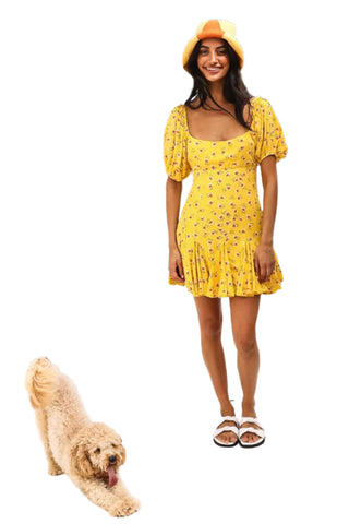 Casual womans yellow mini dress with her dog.
